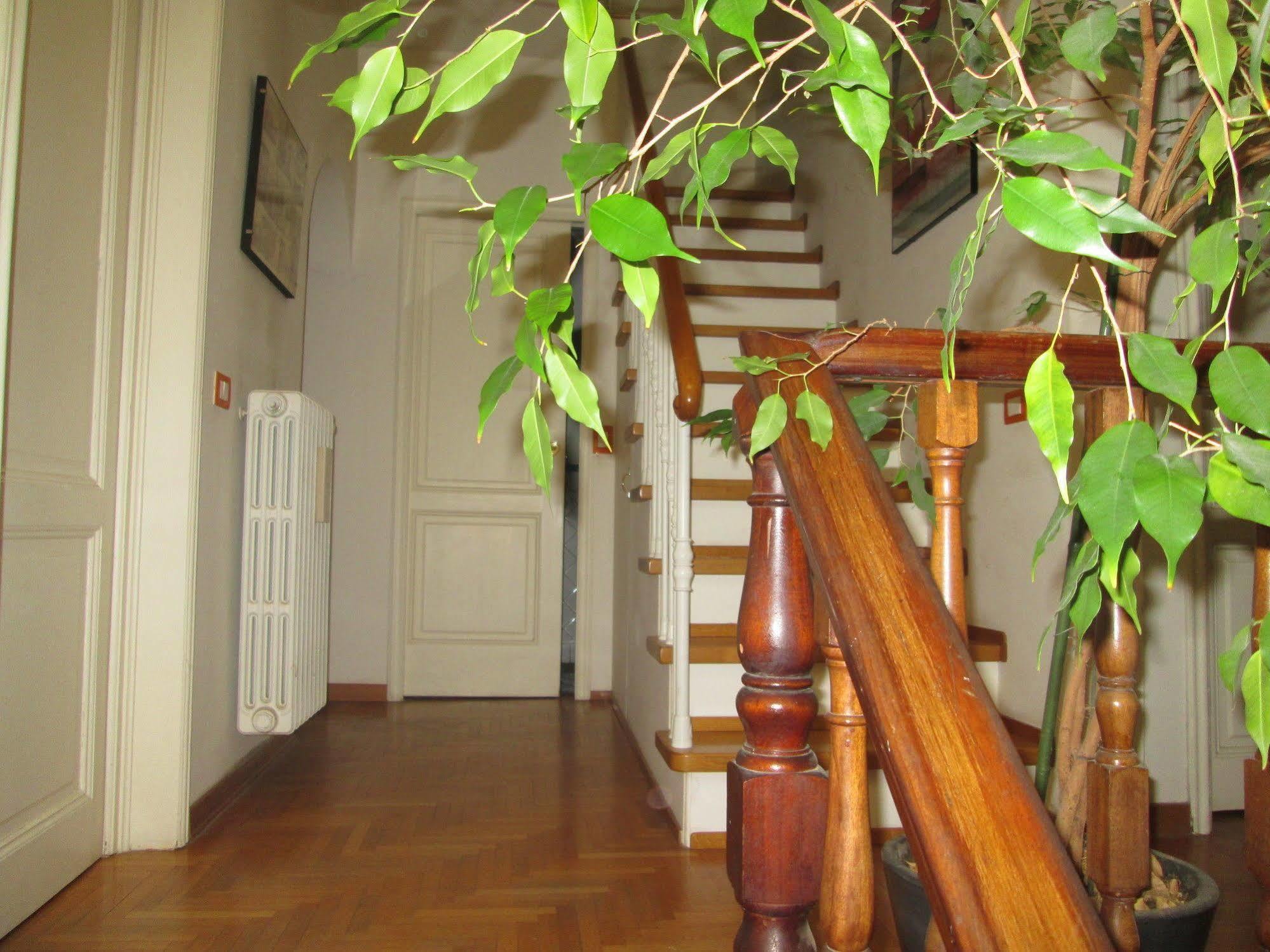 B&B Le Ortensie Firenze Esterno foto